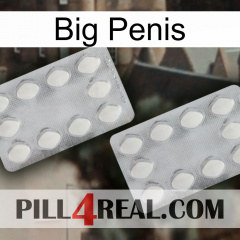 Big Penis 17